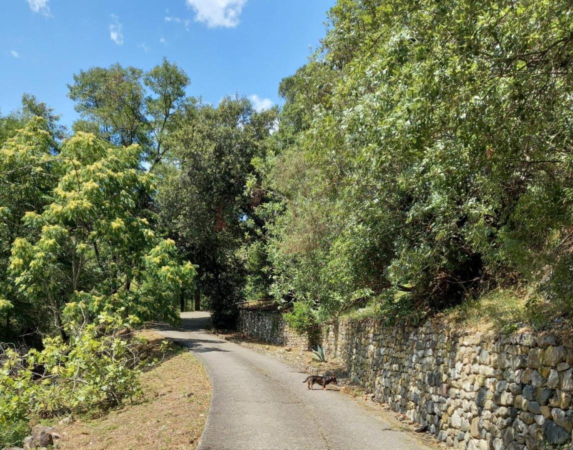 Villa Ai Sugheri Deiva Marina Exterior foto